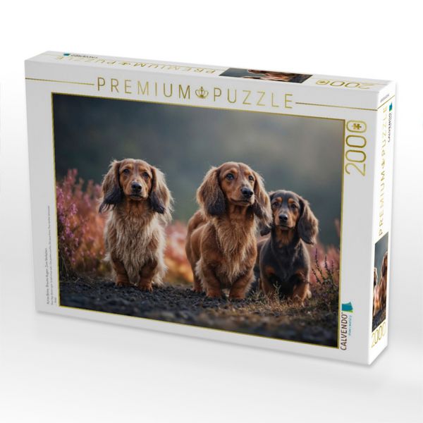 Produktbild: CALVENDO Puzzle Kurze Beine. Braune Augen. Zum Verlieben | 2000 Teile Lege-Gr&ouml;&szlig;e 90x67cm Foto-Puzzle f&uuml;r gl&uuml;ckliche Stunden