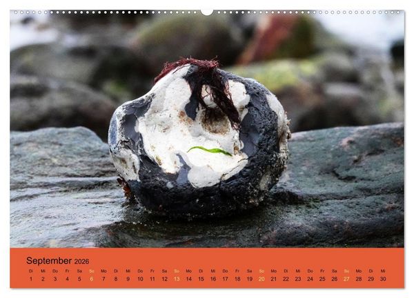 Produktbild: EIN STEIN SEIN (Wandkalender 2026 DIN A2 quer), CALVENDO Monatskalender