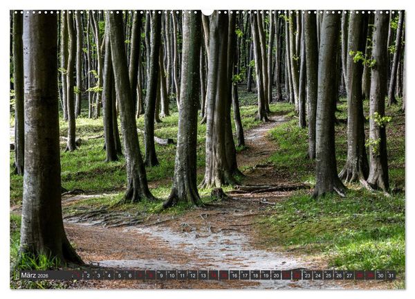 Produktbild: R&uuml;gen - Inseltraumblicke (hochwertiger Premium Wandkalender 2026 DIN A2 quer), Kunstdruck in Hochglanz