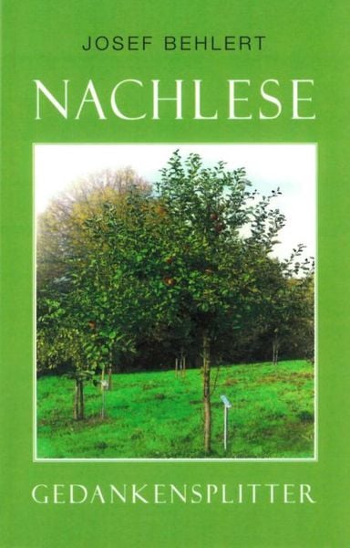 Produktbild: Nachlese - Gedankensplitter