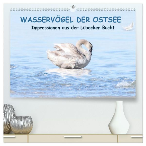 Wasservögel der Ostsee - Impressionen aus der Lübecker Bucht (hochwertiger Premium Wandkalender 2026 DIN A2 quer), Kunstdruck in Hochglanz