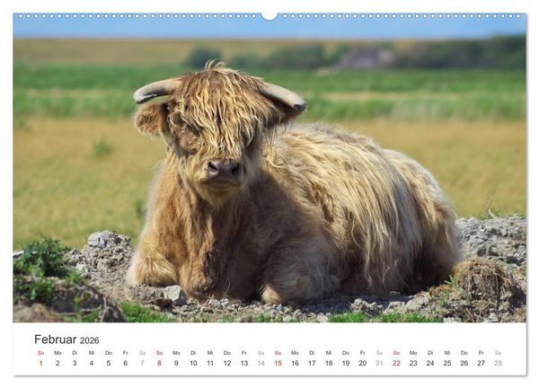 Produktbild: Eiderstedt Impressionen (hochwertiger Premium Wandkalender 2026 DIN A2 quer), Kunstdruck in Hochglanz