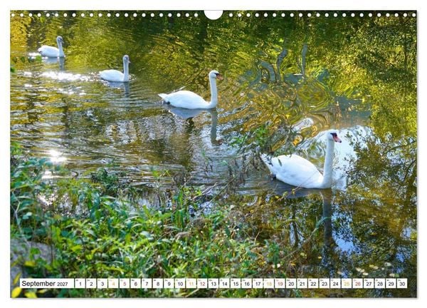 Produktbild: 12 Monate Natur (Wandkalender 2027 DIN A3 quer), CALVENDO Monatskalender