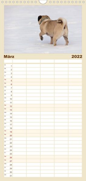 Produktbild: Mops - Familienplaner hoch (Wandkalender 2022 , 21 cm x 45 cm, hoch)