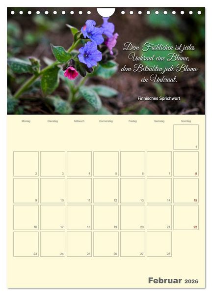 Produktbild: Gartenliebe (Wandkalender 2026 DIN A4 hoch), CALVENDO Monatskalender