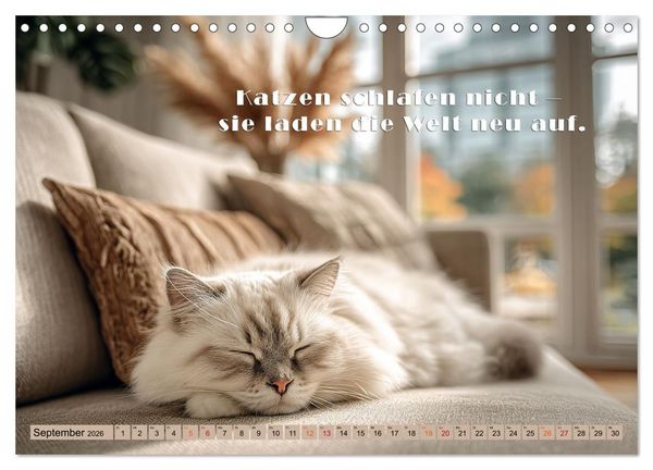 Produktbild: Miau-velous Pfotenpoesie (Wandkalender 2026 DIN A4 quer), CALVENDO Monatskalender