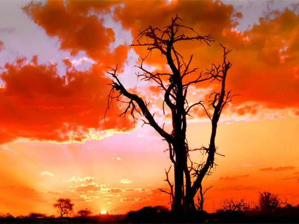 Produktbild: CALVENDO Puzzle Abend in Namibia | 1000 Teile Lege-Gr&ouml;&szlig;e 64x48cm Foto-Puzzle f&uuml;r gl&uuml;ckliche Stunden