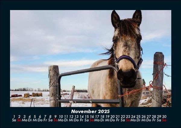 Produktbild: Die Welt der Pferde 2025 Fotokalender DIN A5