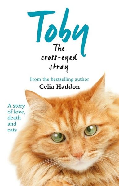 Produktbild: Toby The Cross-Eyed Stray