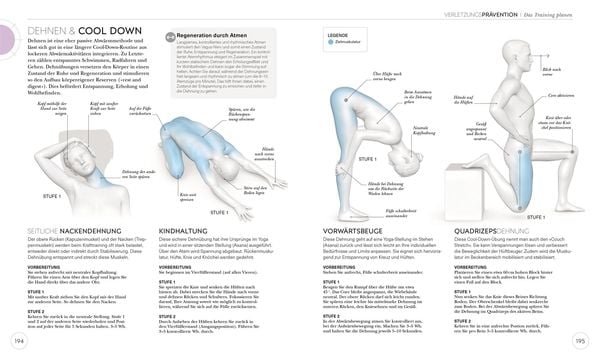 Krafttraining – Die Anatomie verstehen