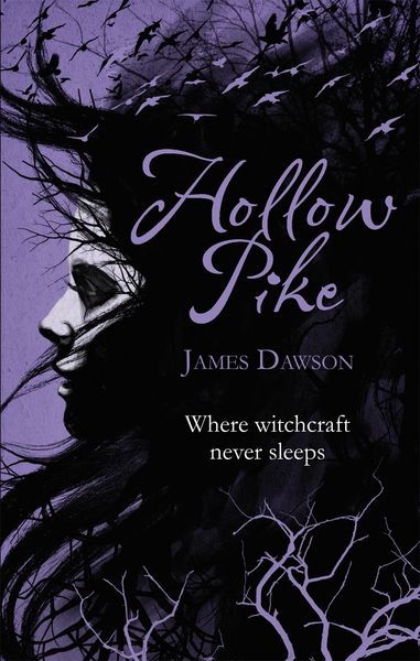 Produktbild: Hollow Pike