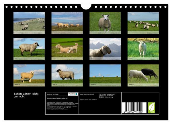 Produktbild: Schafe z&auml;hlen leicht gemacht! (Wandkalender 2026 DIN A4 quer), CALVENDO Monatskalender