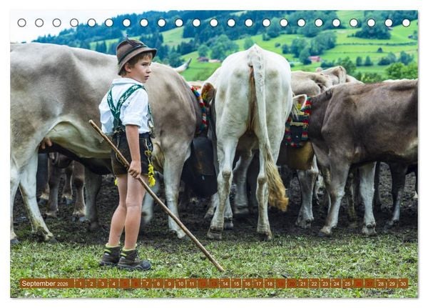 Produktbild: Allg&auml;uer Sch&ouml;nheiten Allg&auml;u - Land der K&uuml;he (Tischkalender 2026 DIN A5 quer), CALVENDO Monatskalender