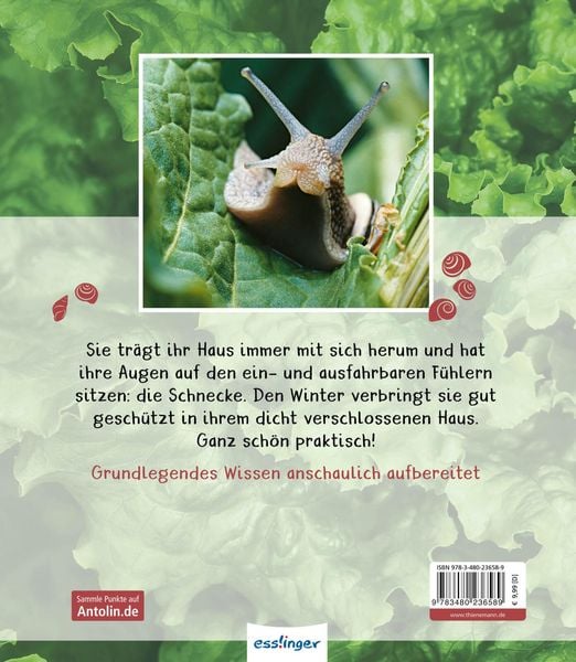 Produktbild: Meine gro&szlig;e Tierbibliothek: Die Schnecke