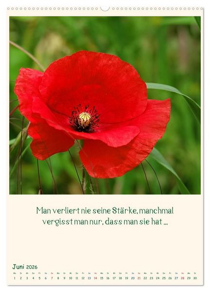 Produktbild: Mit Blumen durchs Jahr (hochwertiger Premium Wandkalender 2026 DIN A2 hoch), Kunstdruck in Hochglanz