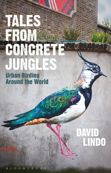 Produktbild: Tales from Concrete Jungles