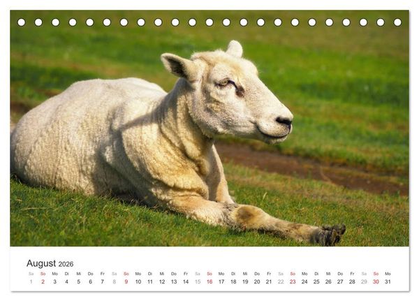 Produktbild: Eiderstedt Impressionen (Tischkalender 2026 DIN A5 quer), CALVENDO Monatskalender