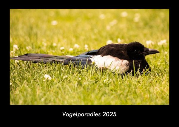 Produktbild: Vogelparadies 2025 Fotokalender DIN A3