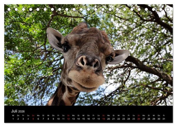 Produktbild: Unsere Erde Highlights weltweit 2026 (Tischkalender 2026 DIN A5 quer), CALVENDO Monatskalender