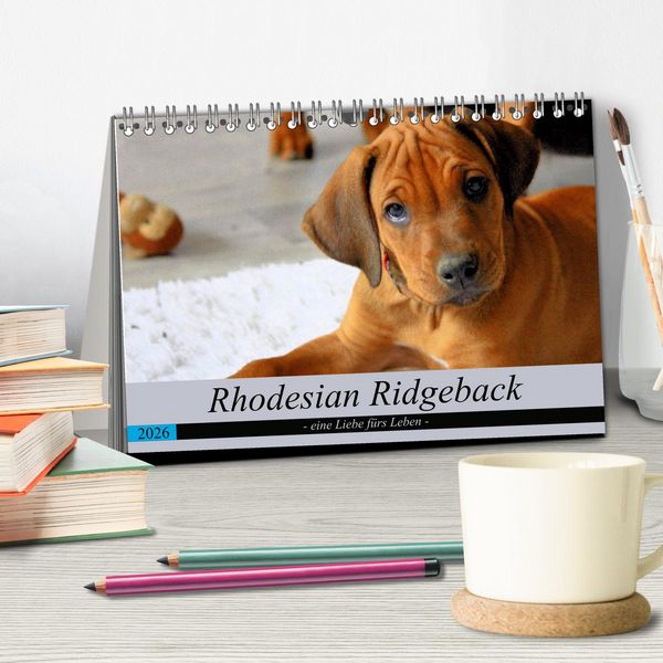 Produktbild: Rhodesian Ridgeback - eine Liebe f&uuml;rs Leben (Tischkalender 2026 DIN A5 quer), CALVENDO Monatskalender
