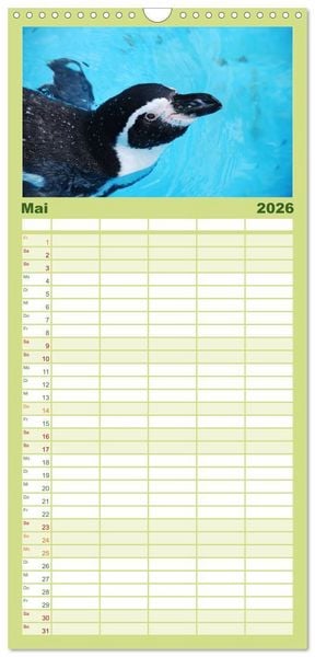 Produktbild: Familienplaner 2026 - Pinguine 2026 mit 5 Spalten (Wandkalender, 21 x 45 cm) CALVENDO