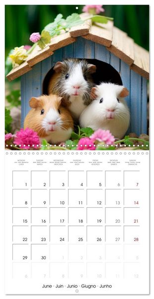 Produktbild: Sweet GUINEA PIGS (Wall Calendar 2026 12 &times; 12 Inch) CALVENDO 12 Month Wall Calendar
