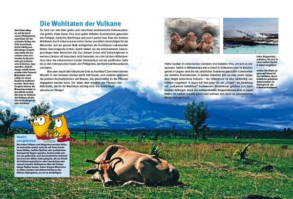 Produktbild: Entdecke die Vulkane