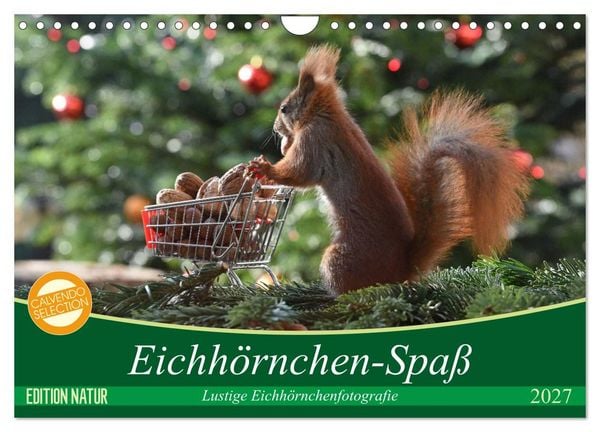 Produktbild: Eichh&ouml;rnchen-Spa&szlig; (Wandkalender 2027 DIN A4 quer), CALVENDO Monatskalender
