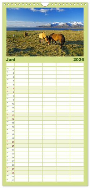 Produktbild: Familienplaner 2026 - Die Pferde Islands mit 5 Spalten (Wandkalender, 21 x 45 cm) CALVENDO