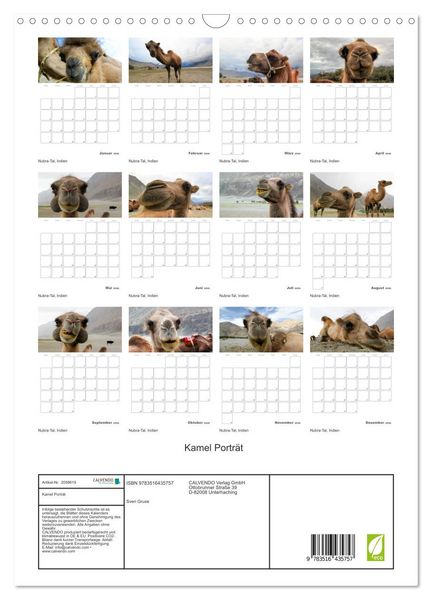 Produktbild: Kamel Portr&auml;t (Wandkalender 2026 DIN A3 hoch), CALVENDO Monatskalender