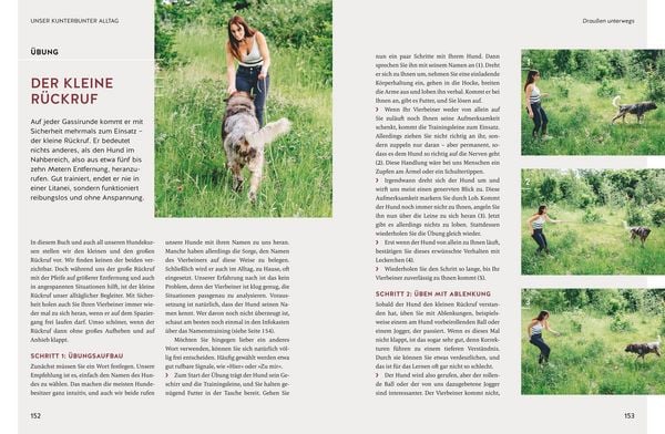 Produktbild: Typgerechte Hundeerziehung