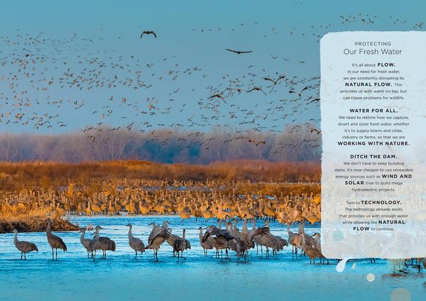 Produktbild: Our Planet: The One Place We All Call Home