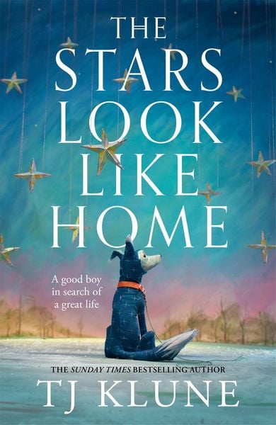 Produktbild: The Stars Look Like Home