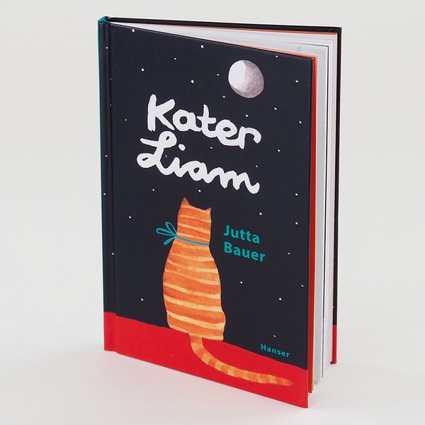 Produktbild: Kater Liam