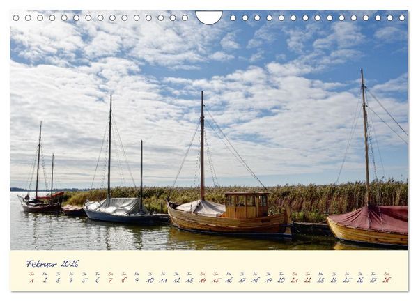 Produktbild: OSTSEEGL&Uuml;CK - Gl&uuml;cksmomente auf dem Dar&szlig; (Wandkalender 2026 DIN A4 quer), CALVENDO Monatskalender