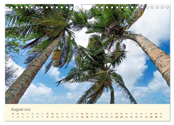 Produktbild: Traumhafte Seychellen (Wandkalender 2026 DIN A4 quer), CALVENDO Monatskalender