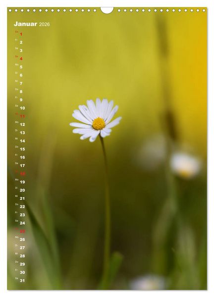Produktbild: Colors of Nature (Wandkalender 2026 DIN A3 hoch), CALVENDO Monatskalender