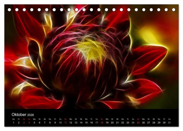 Produktbild: Floral Abstrakt 2026 (Tischkalender 2026 DIN A5 quer), CALVENDO Monatskalender