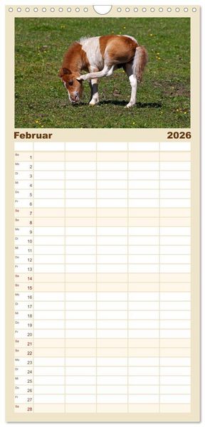 Produktbild: Familienplaner 2026 - Pferde und Ponys im Paradies mit 5 Spalten (Wandkalender, 21 x 45 cm) CALVENDO
