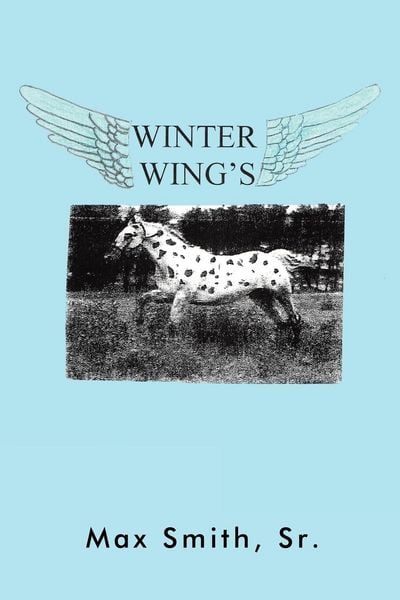 Produktbild: Winter Wings