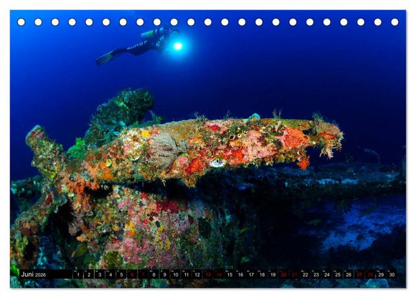 Produktbild: Raja Ampat - Faszinierende Unterwasserwelt (Tischkalender 2026 DIN A5 quer), CALVENDO Monatskalender