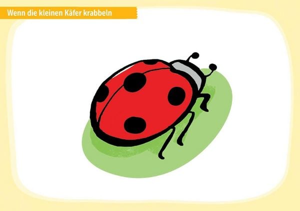 Produktbild: Fingerspiele mit Krippenkindern