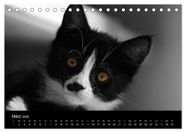 Produktbild: schwarz/wei&szlig; trifft farbe (Tischkalender 2026 DIN A5 quer), CALVENDO Monatskalender
