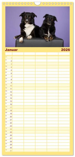 Produktbild: Familienplaner 2026 - Bunte Pfoten mit 5 Spalten (Wandkalender, 21 x 45 cm) CALVENDO
