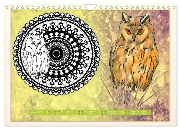 Produktbild: Mandalas 2026 - Beruhigende Momente (Wandkalender 2026 DIN A4 quer), CALVENDO Monatskalender