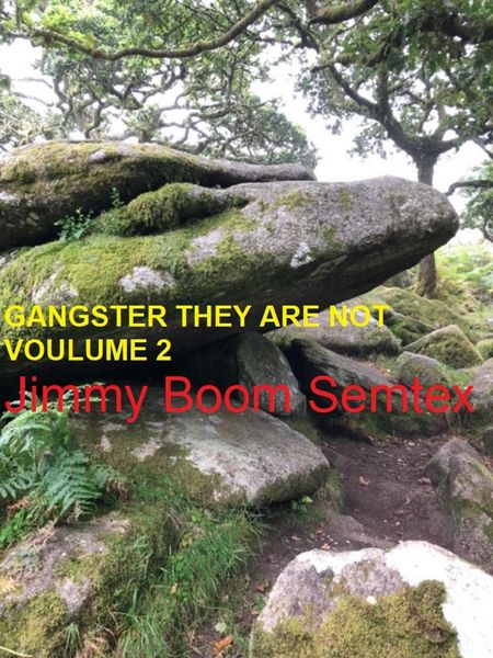 Produktbild: Gangster They Are Not Volume 2