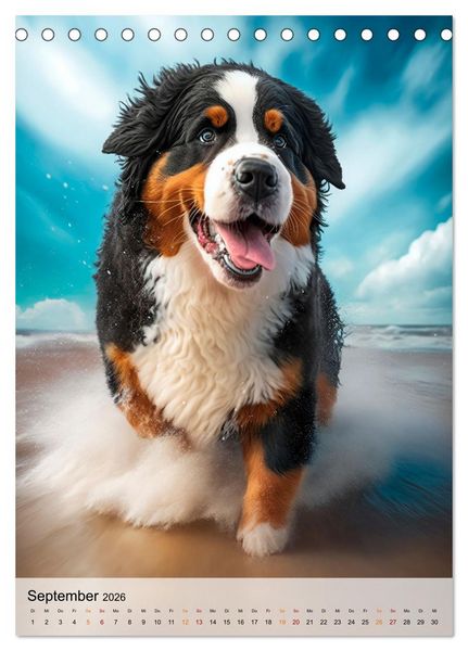 Produktbild: Berner Sennenhund - gutm&uuml;tig und treu (Tischkalender 2026 DIN A5 hoch), CALVENDO Monatskalender