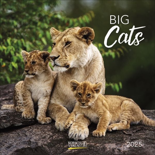 Big Cats 2025