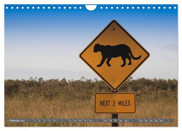 Produktbild: Sunshine State Florida Natur, Tierwelt und Nationalparks (Wandkalender 2027 DIN A4 quer), CALVENDO Monatskalender