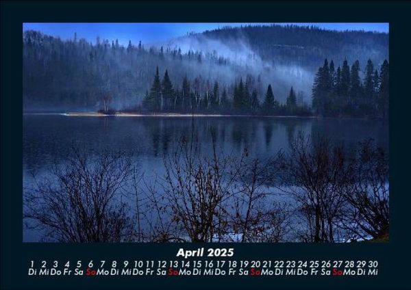 Produktbild: B&auml;ume 2025 Fotokalender DIN A5